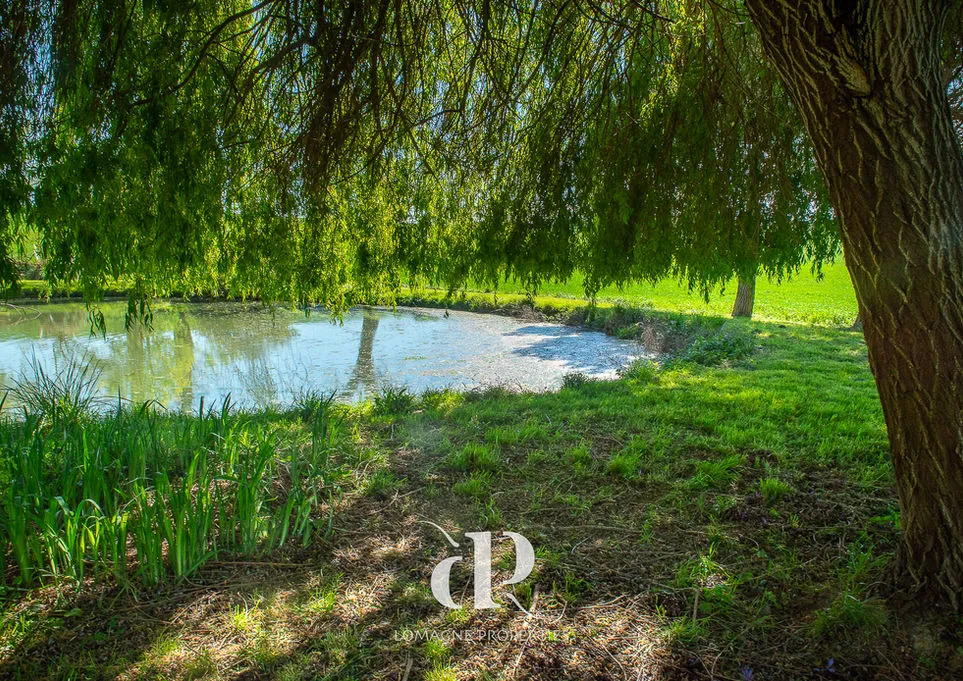 Expansive 5-Bedroom Home with Pool and Lake in Scenic Gers, France - View image 19 of 26