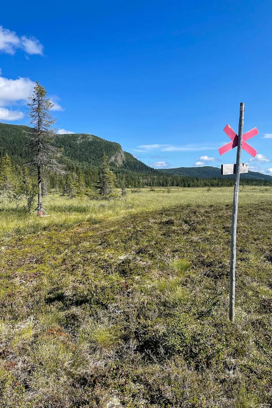 1940s Swedish House with Expansive Land in Vilhelmina - View image 30 of 37