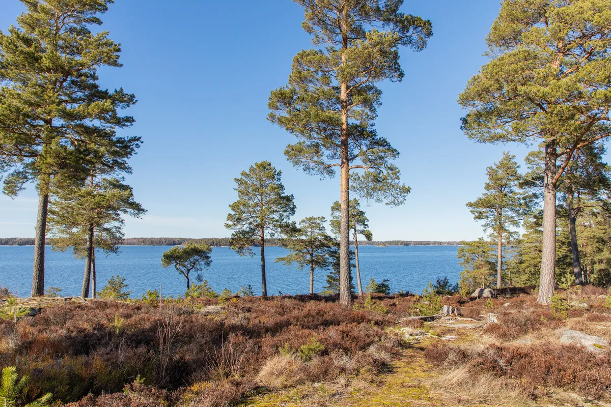4-Bedroom 1970s House with Expansive Garden in Scenic Yxlan, Sweden - Image 5