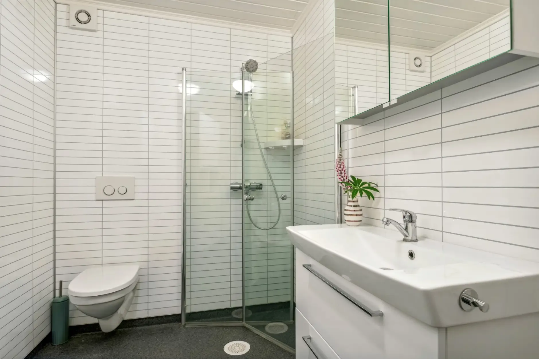 Single-Storey House Near Åsenfjord with Terrace and Parking - View image 19 of 29