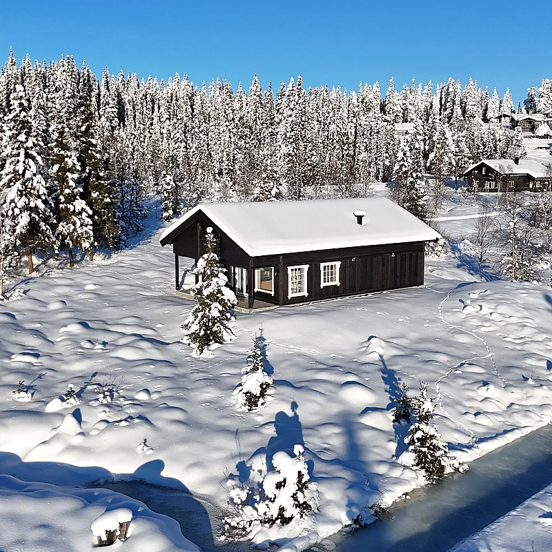 Modern 2-Bedroom Cabin with Sunlit Terrace in Tisleidalen, Norway