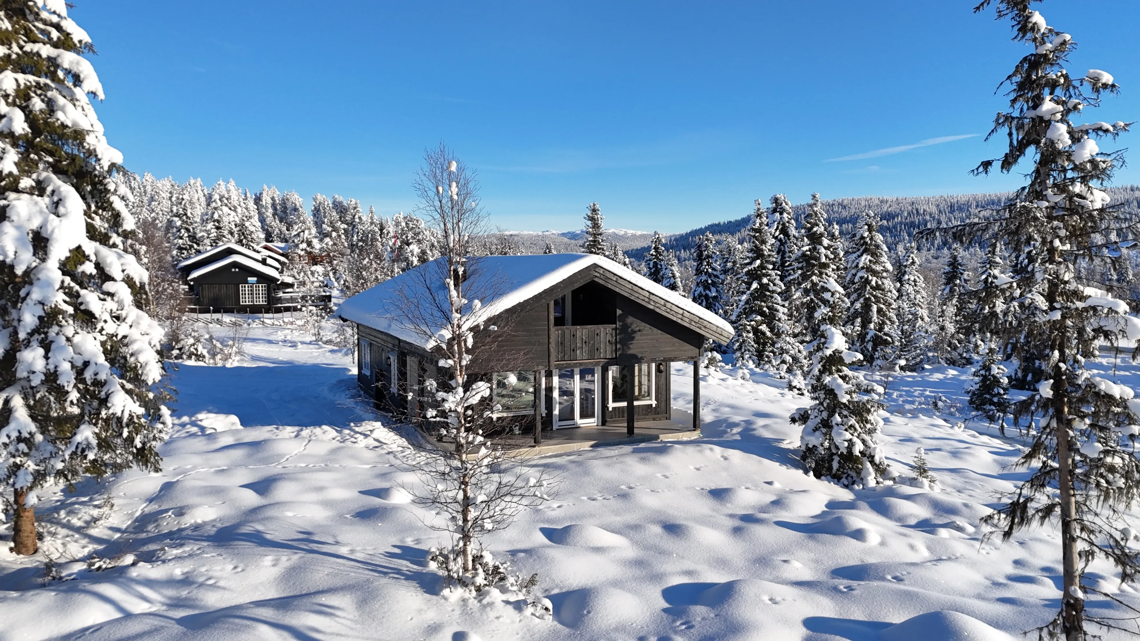 Modern 2-Bedroom Cabin with Sunlit Terrace in Tisleidalen, Norway - Image 4