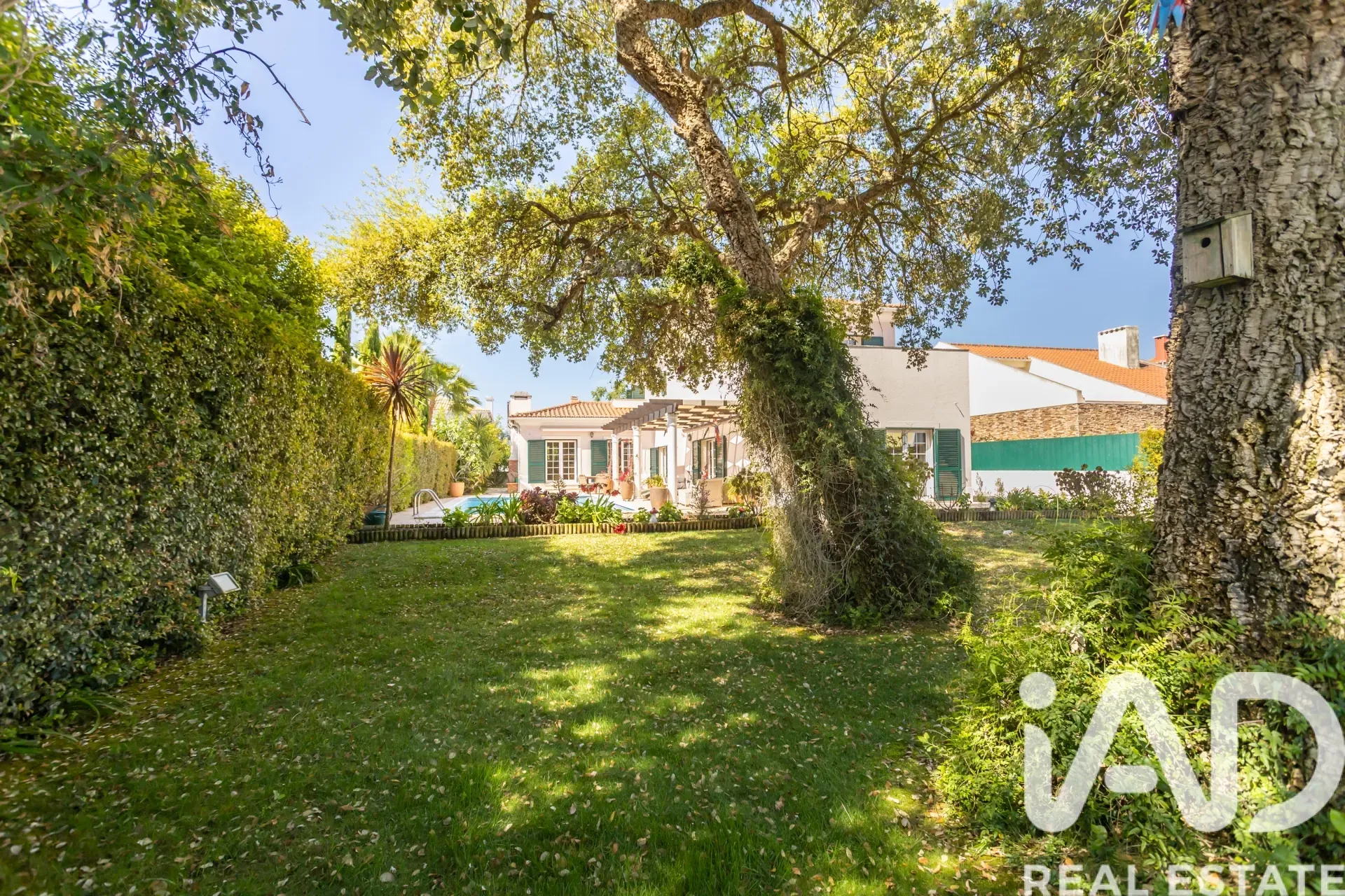 Contemporary 4-Bedroom House with Pool and Garden in Serene Azeitão - Image 4