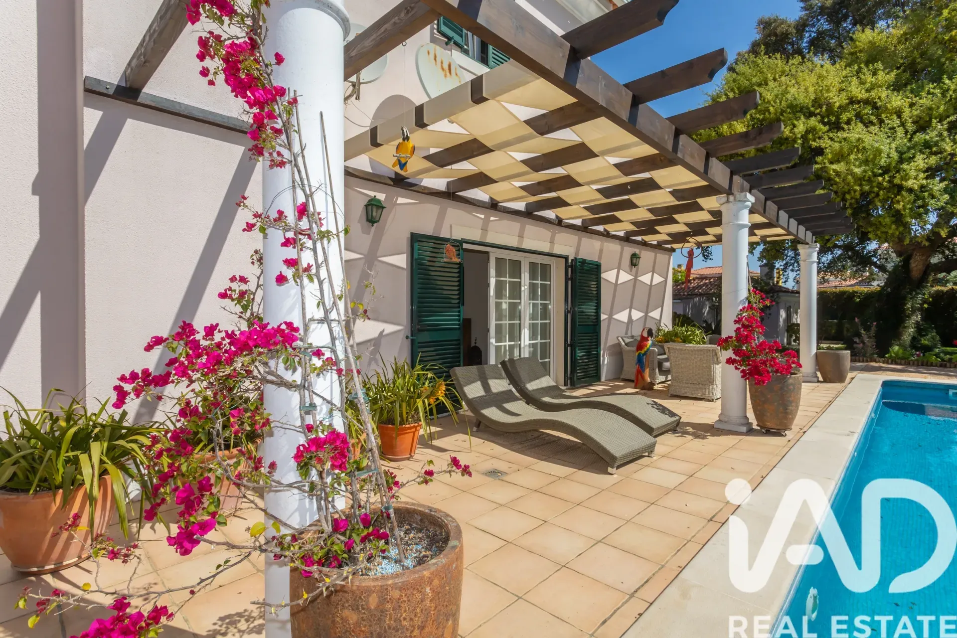 Contemporary 4-Bedroom House with Pool and Garden in Serene Azeitão - View image 11 of 38