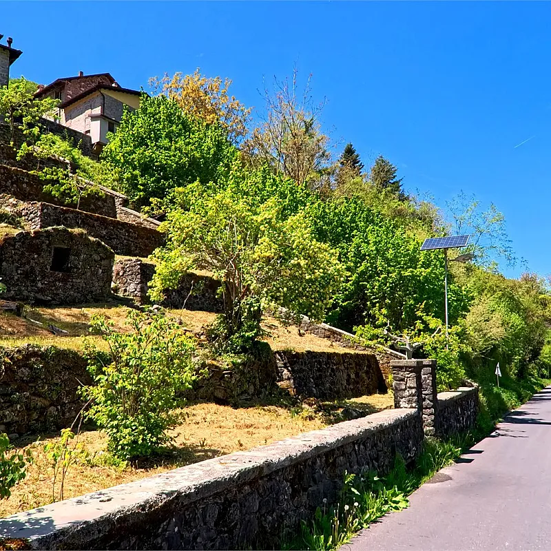 View image 38