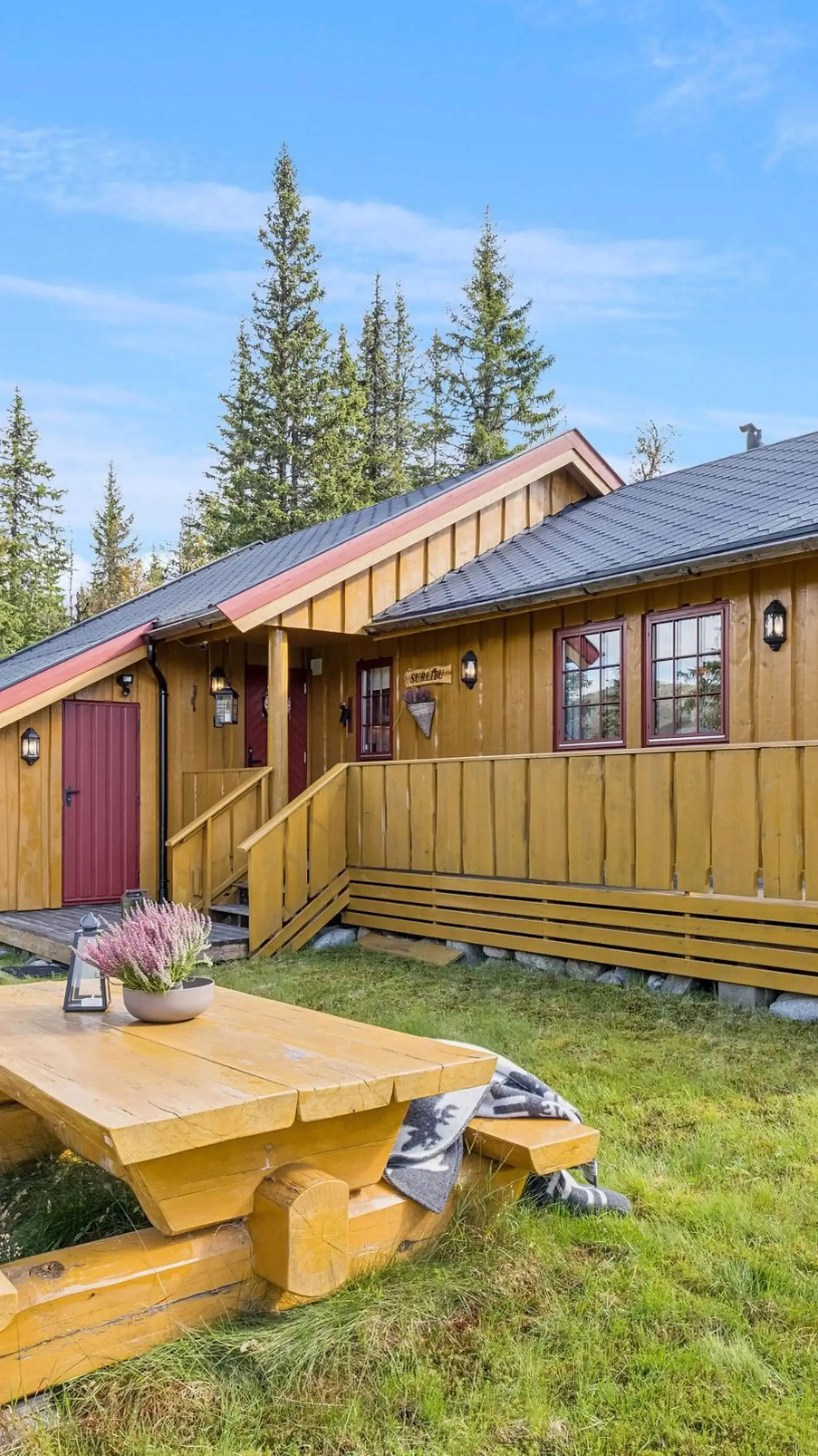 Modern 3-Bedroom Country House with Expansive Garden in Eggedal, Norway - View image 32 of 47