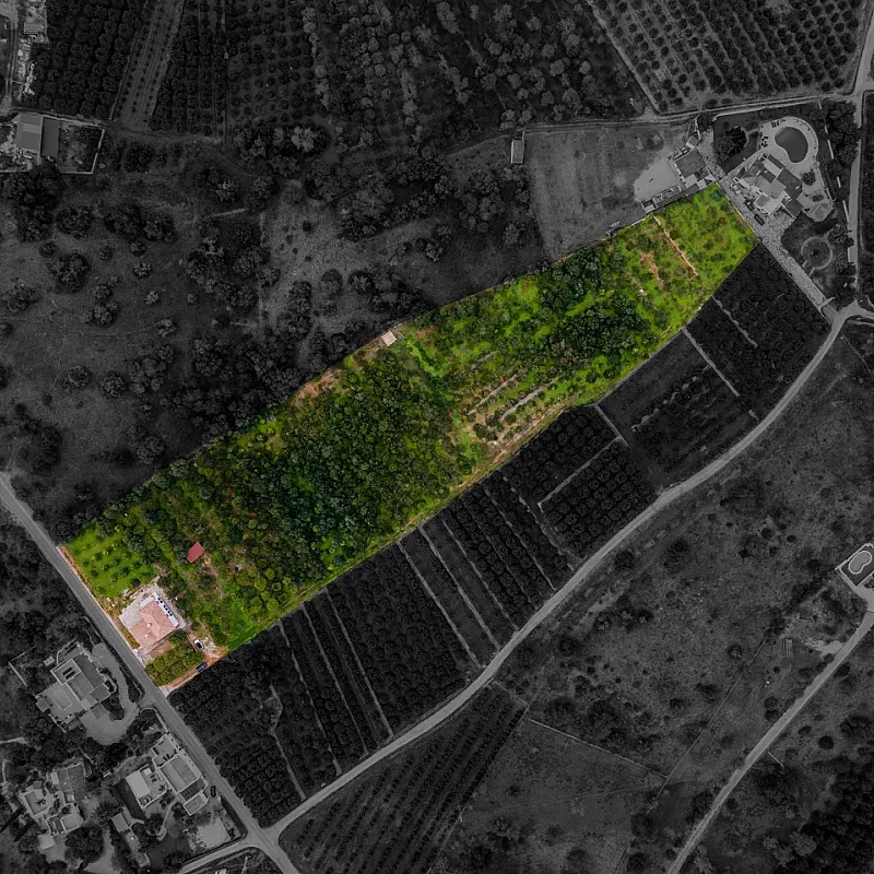 View image 3