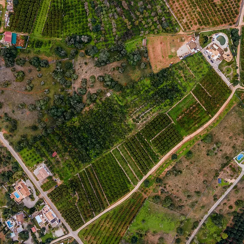 View image 4