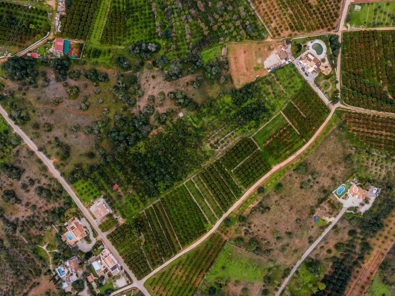 3-Bedroom House with Expansive Orchard in Scenic Silves, Portugal - Image 4