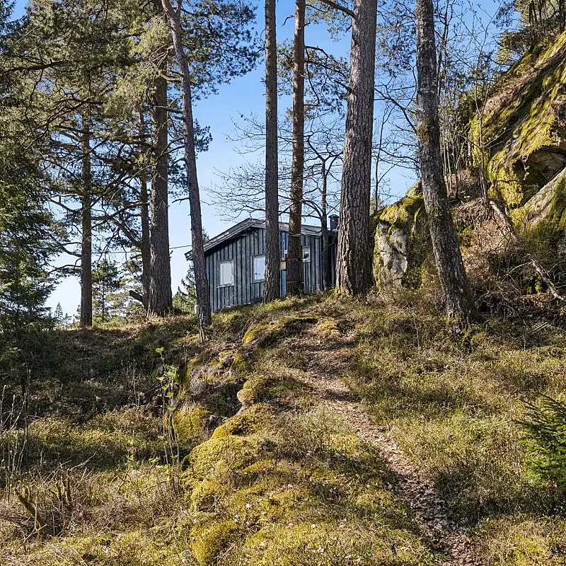 View image 2