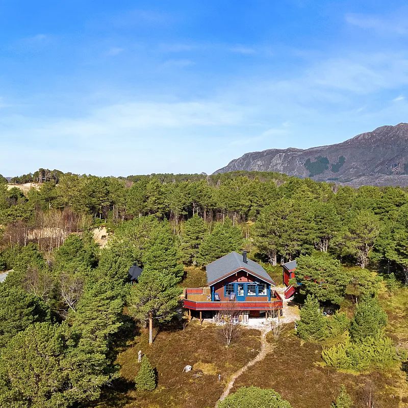 View image 31