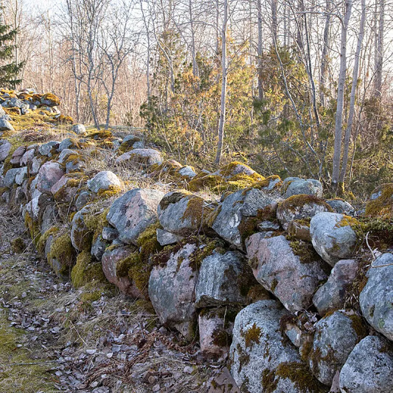 View image 46
