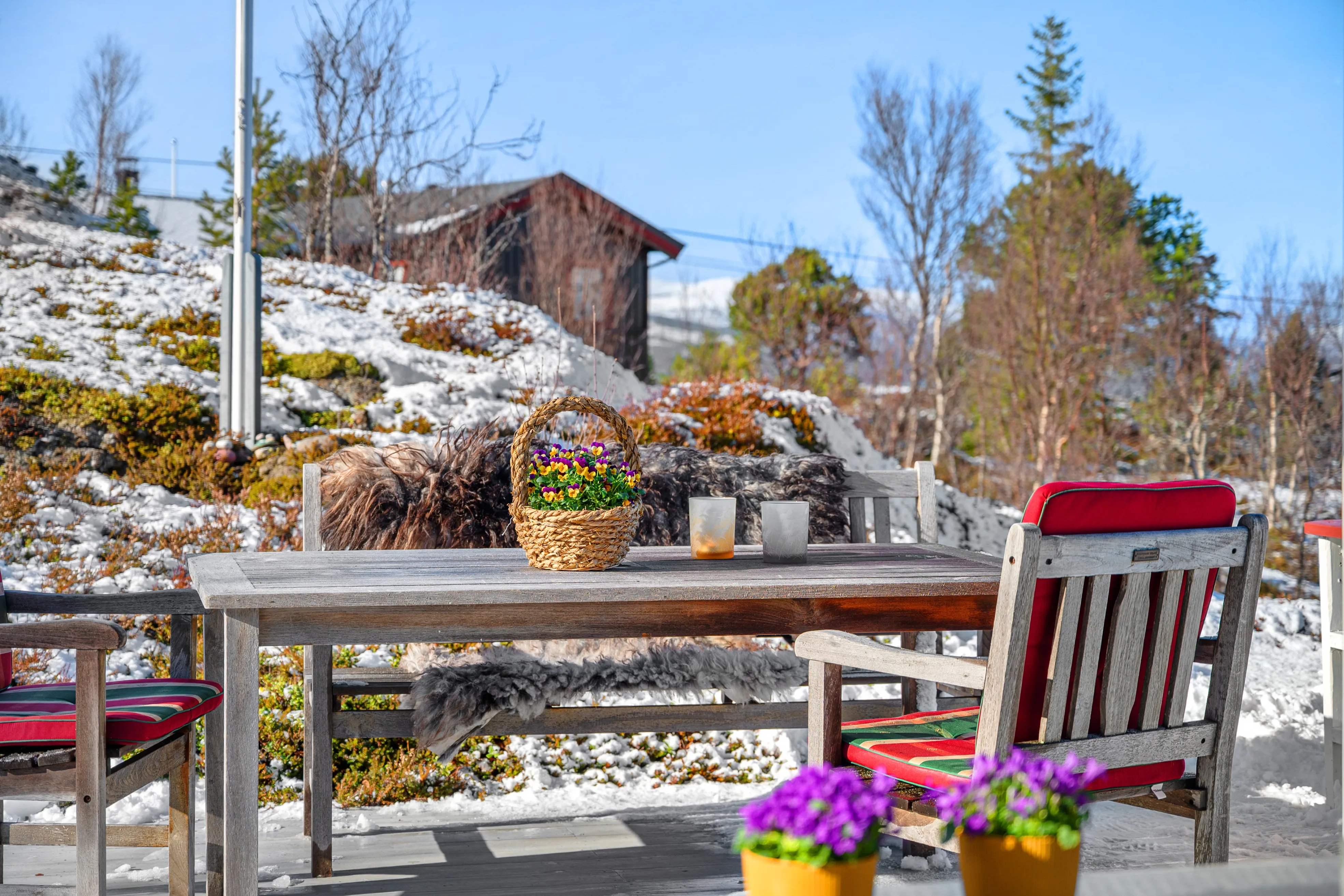 Scenic 3-Bedroom Cabin with Expansive Terrace in Tovik, Norway - View image 32 of 43