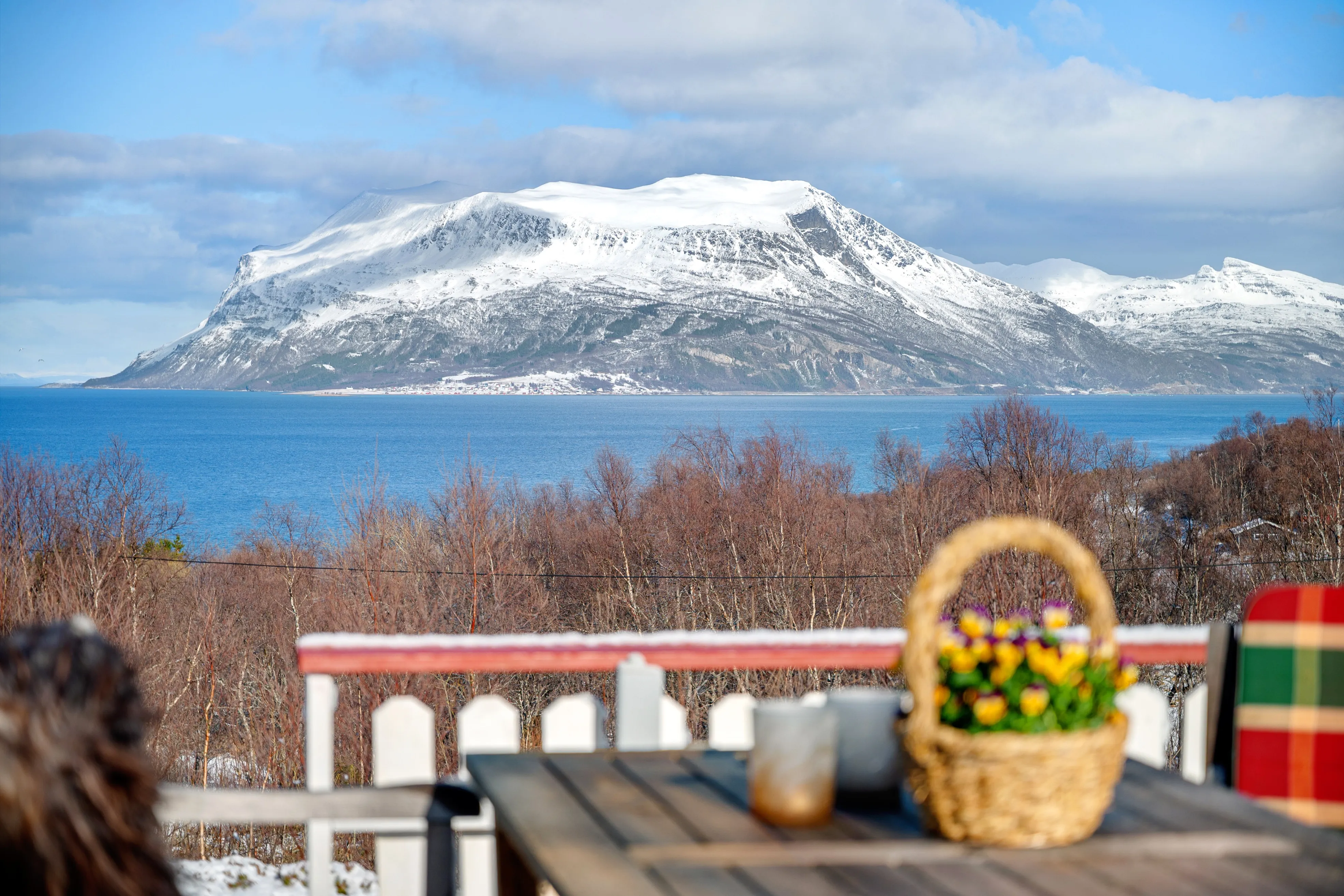 Scenic 3-Bedroom Cabin with Expansive Terrace in Tovik, Norway - View image 33 of 43