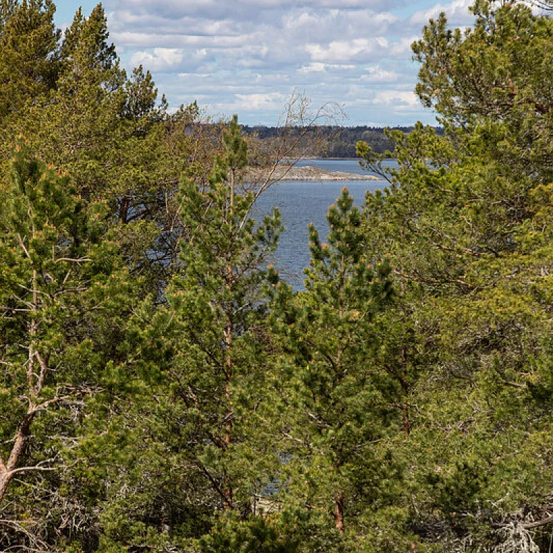 View image 8