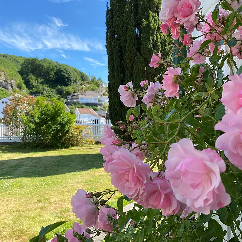 View image 16