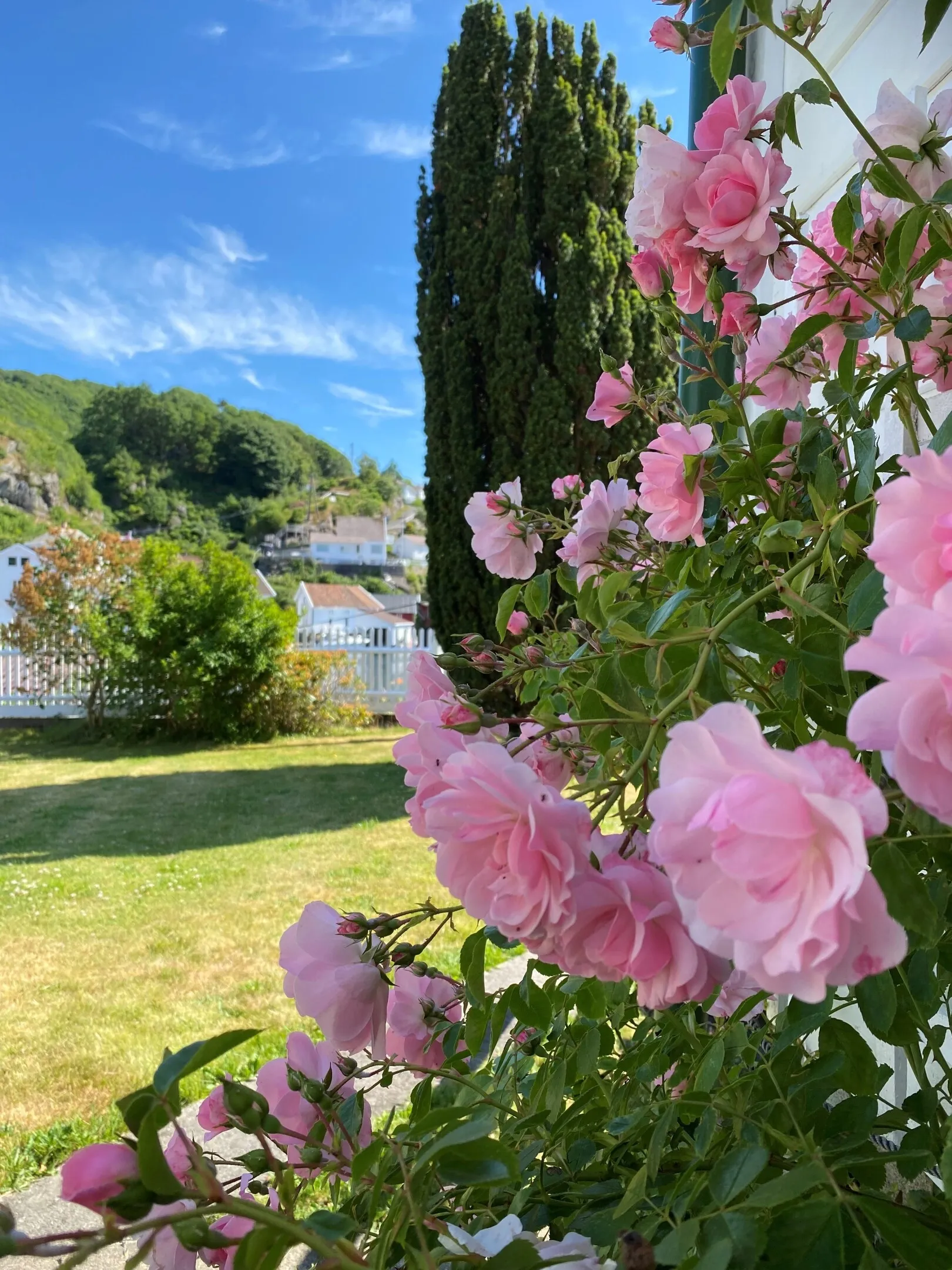 18th Century Coastal House with Garden and Terrace in Hidrasund, Norway - View image 16 of 67