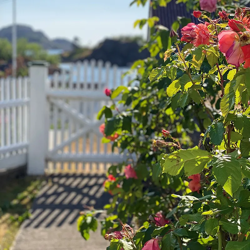 View image 17