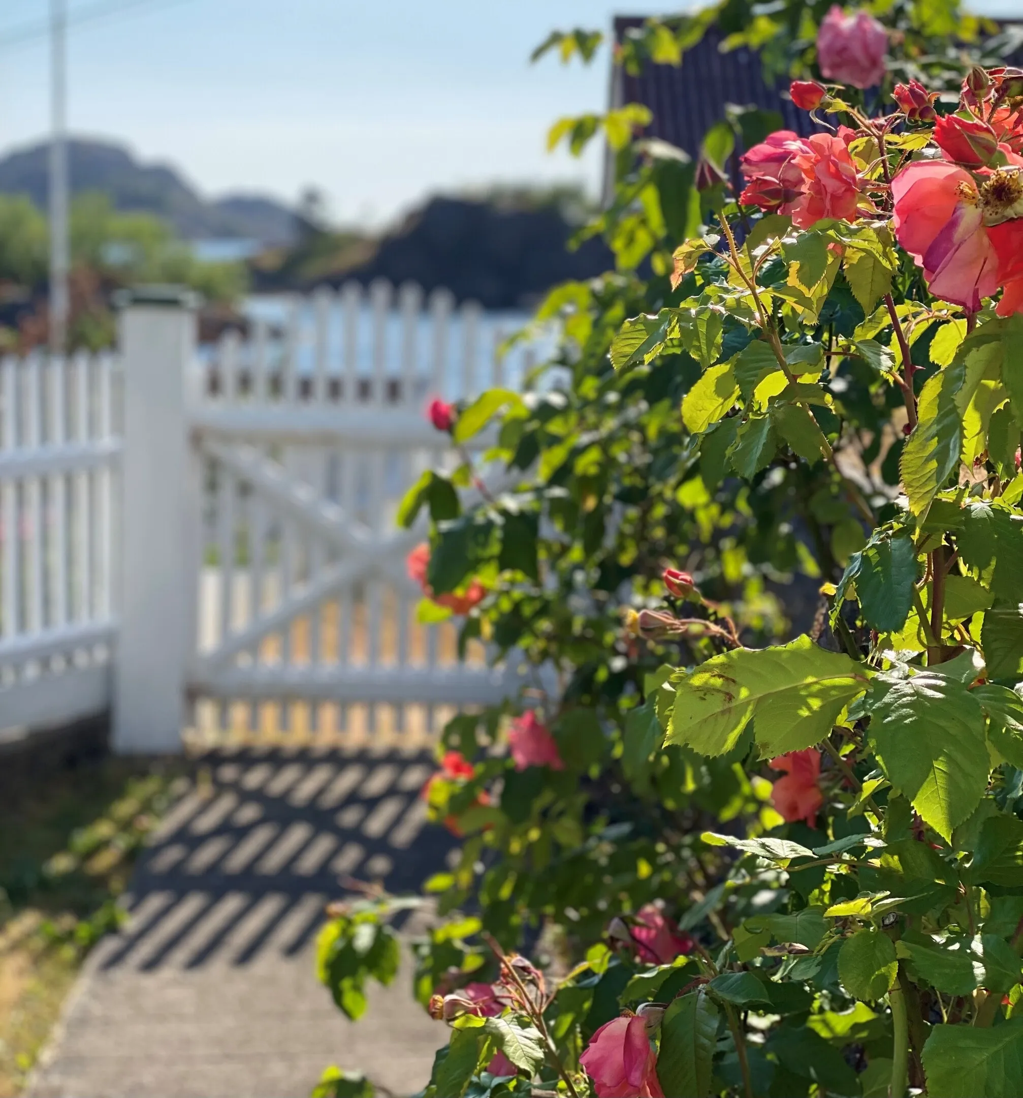 18th Century Coastal House with Garden and Terrace in Hidrasund, Norway - View image 17 of 67