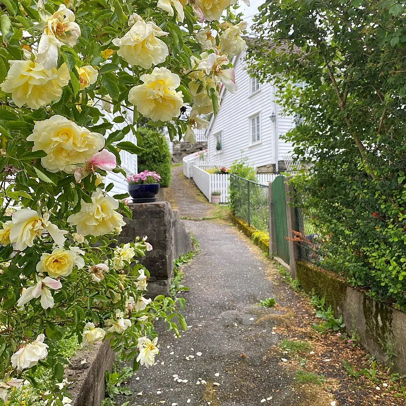 View image 60