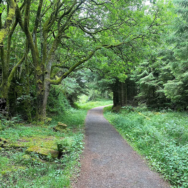 View image 65