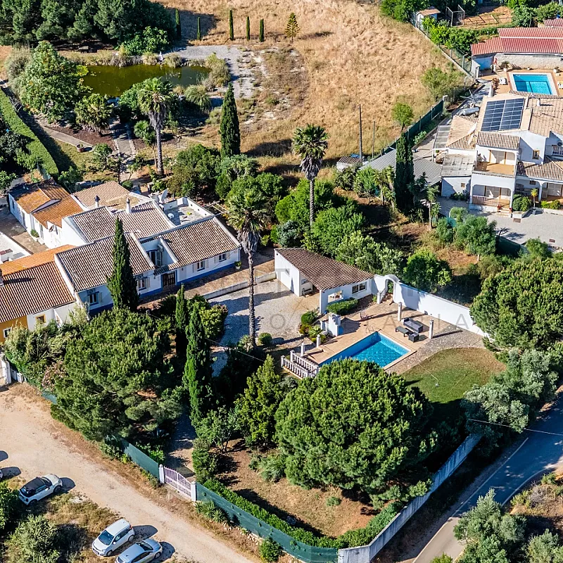 View image 6