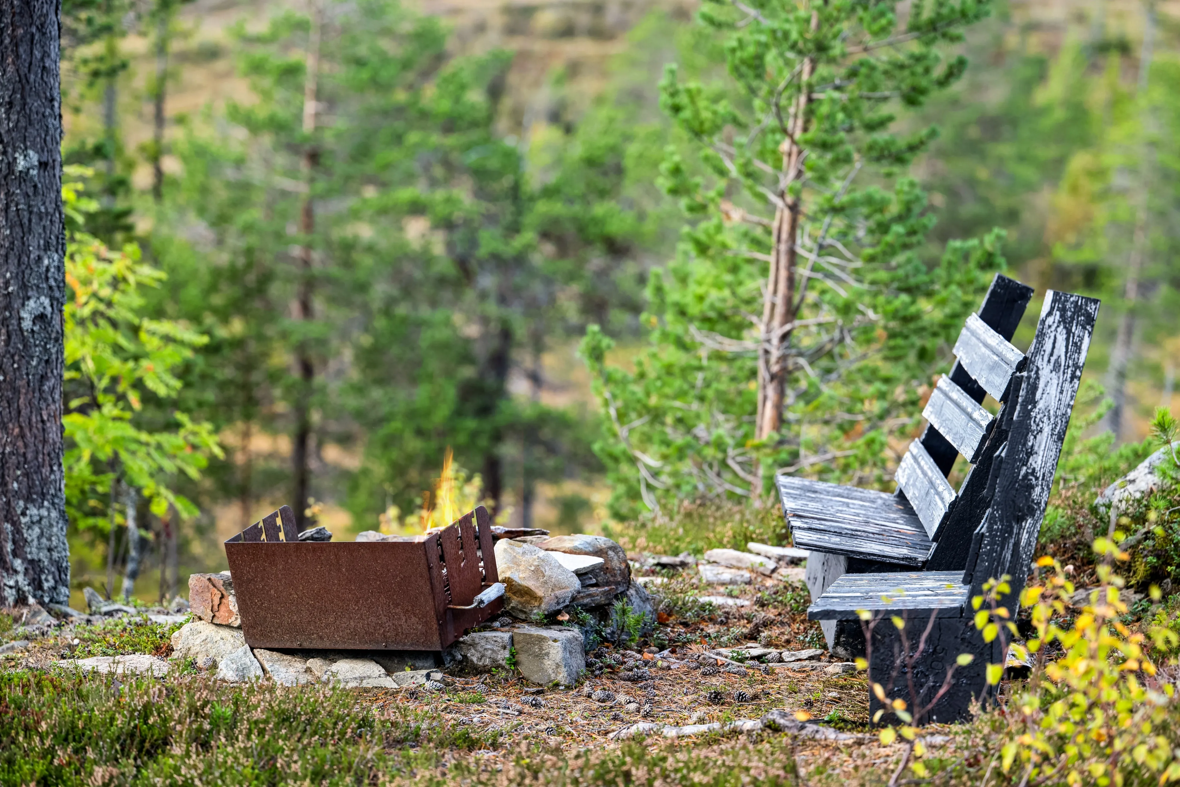 3-Bedroom Norwegian Cabin with Terrace and Solar Power in Rognes - View image 32 of 46