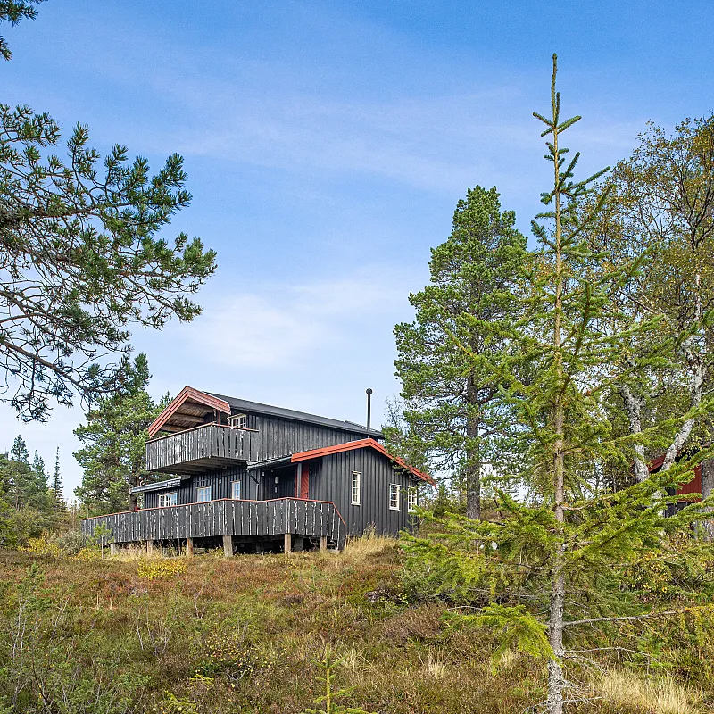 View image 35