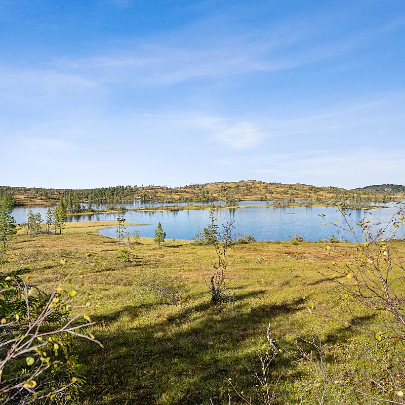 View image 40