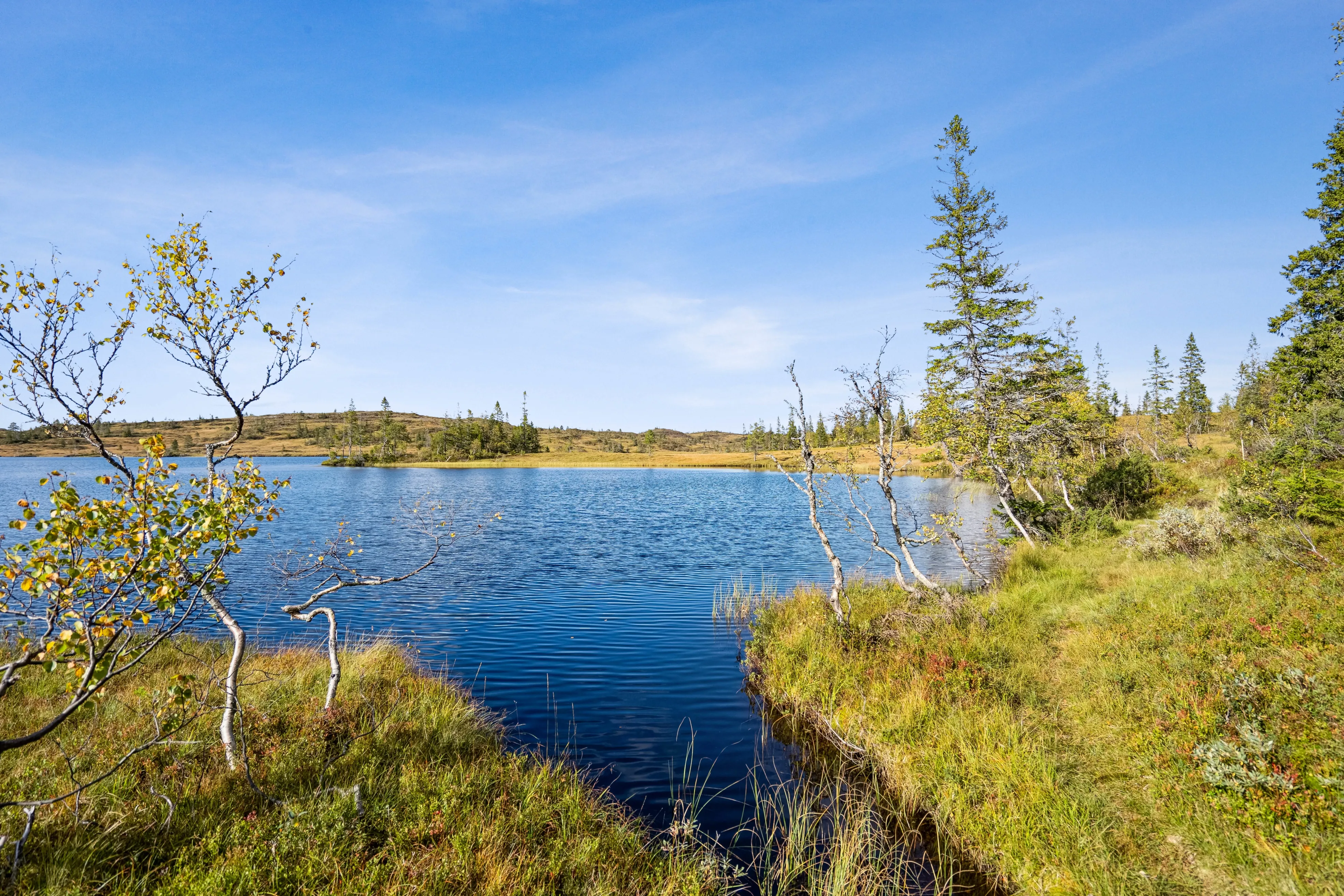 3-Bedroom Norwegian Cabin with Terrace and Solar Power in Rognes - View image 41 of 46