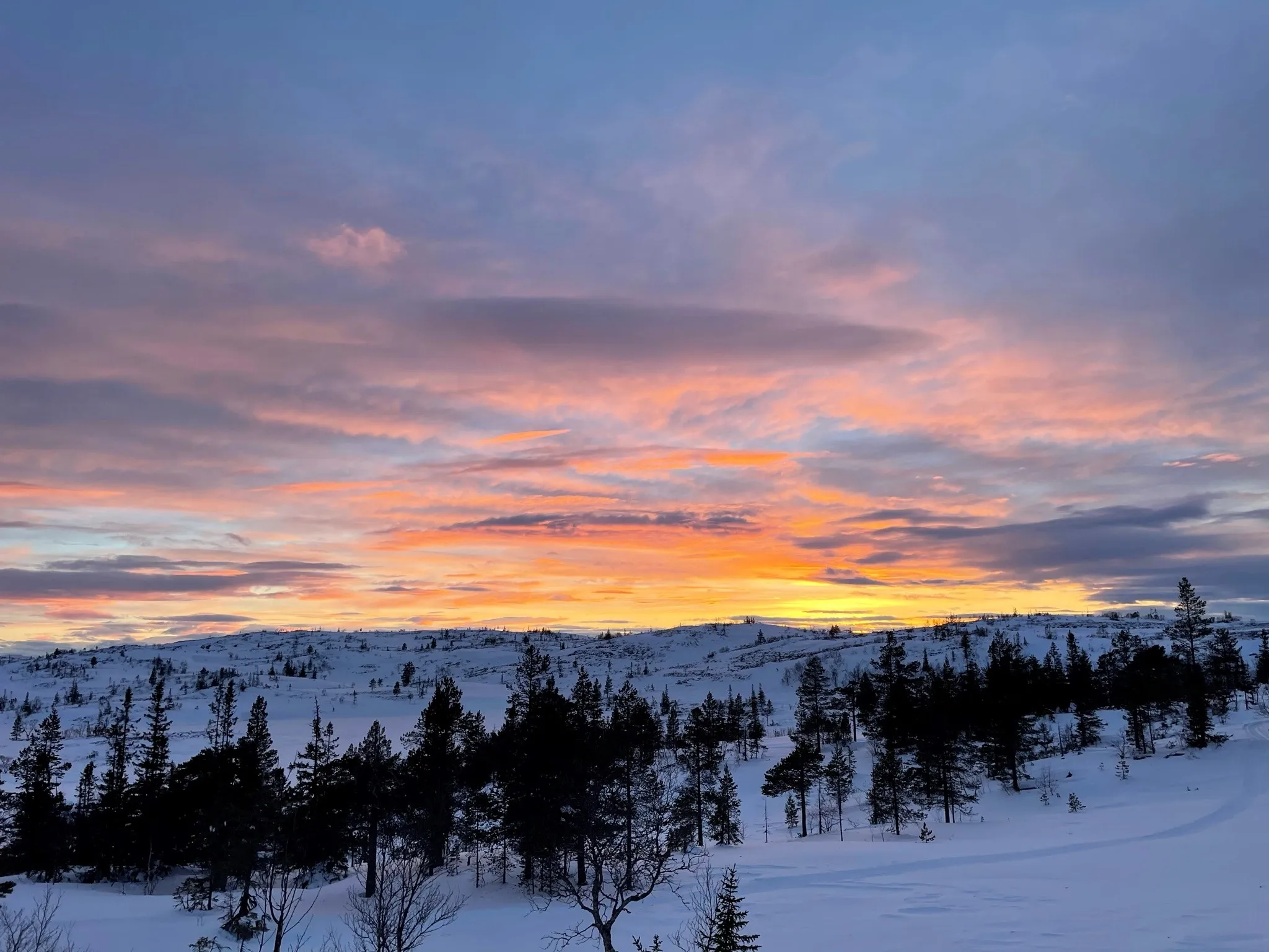 3-Bedroom Norwegian Cabin with Terrace and Solar Power in Rognes - View image 44 of 46