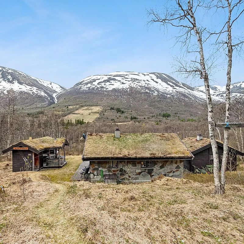 1996 Three-Bedroom House with Terrace in Norway's Scenic Storlidalen