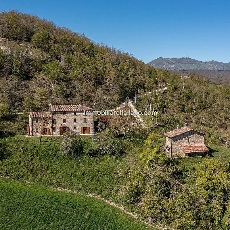 View image 2