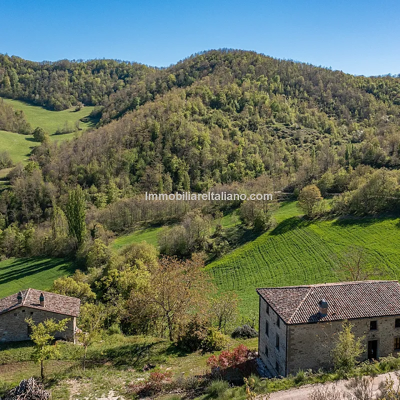 View image 3