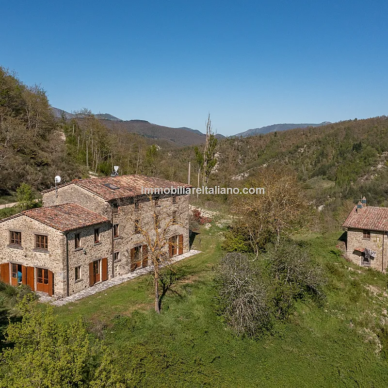 View image 5