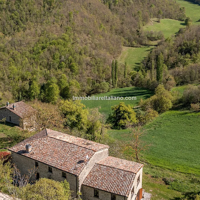 View image 6