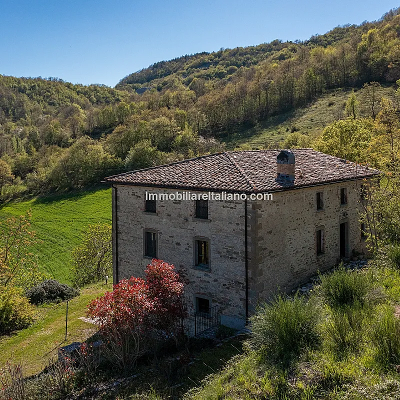 View image 7