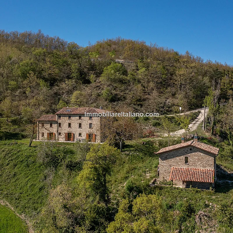 View image 8