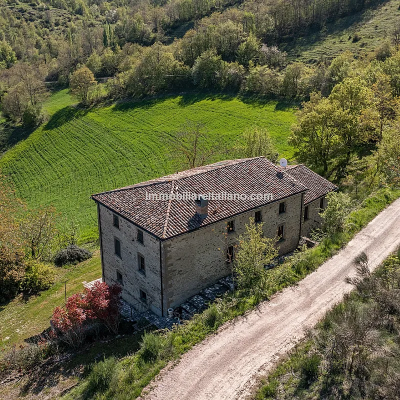 View image 9