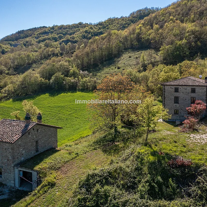 View image 10