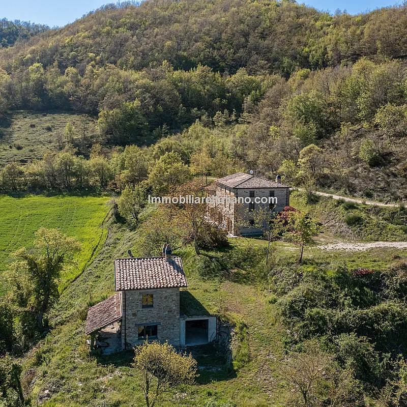 View image 11
