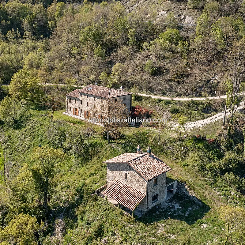 View image 12
