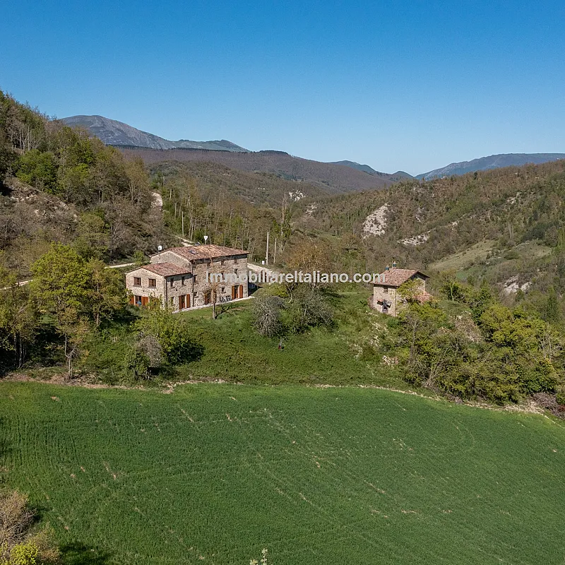 View image 13