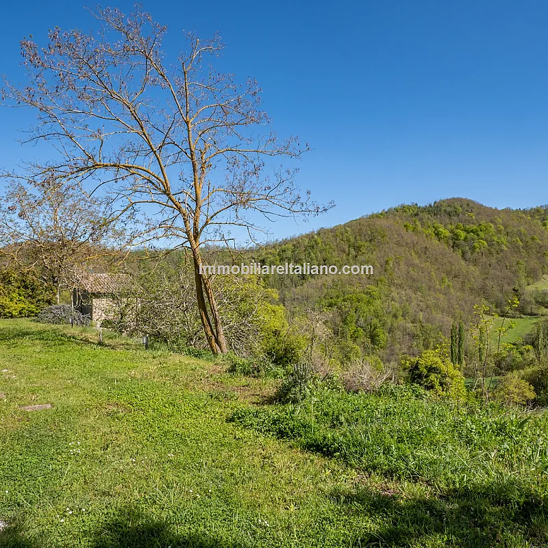 View image 17