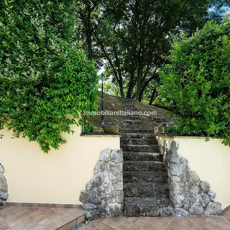 View image 9