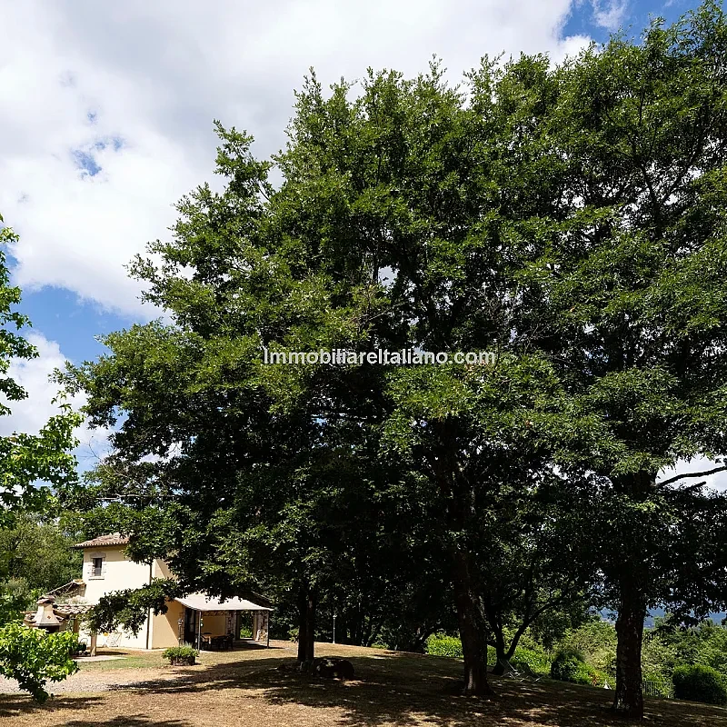 View image 10