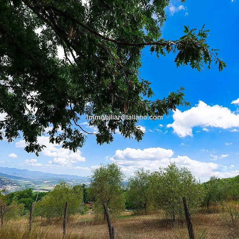View image 53