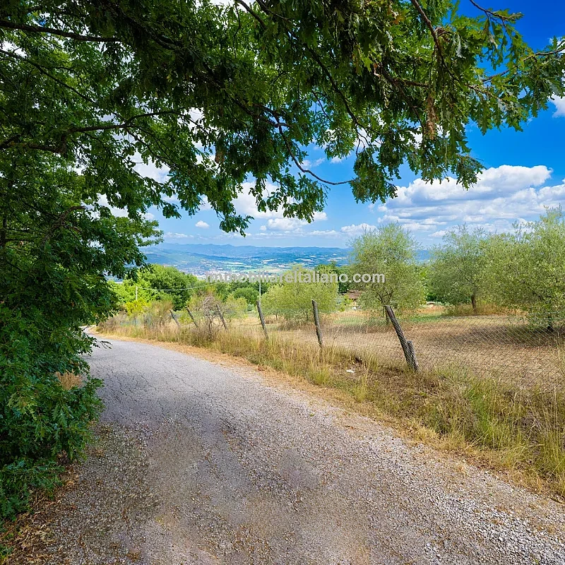 View image 54