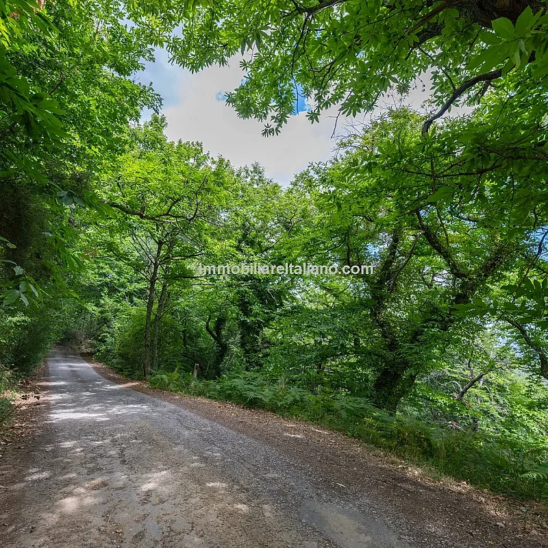 View image 56