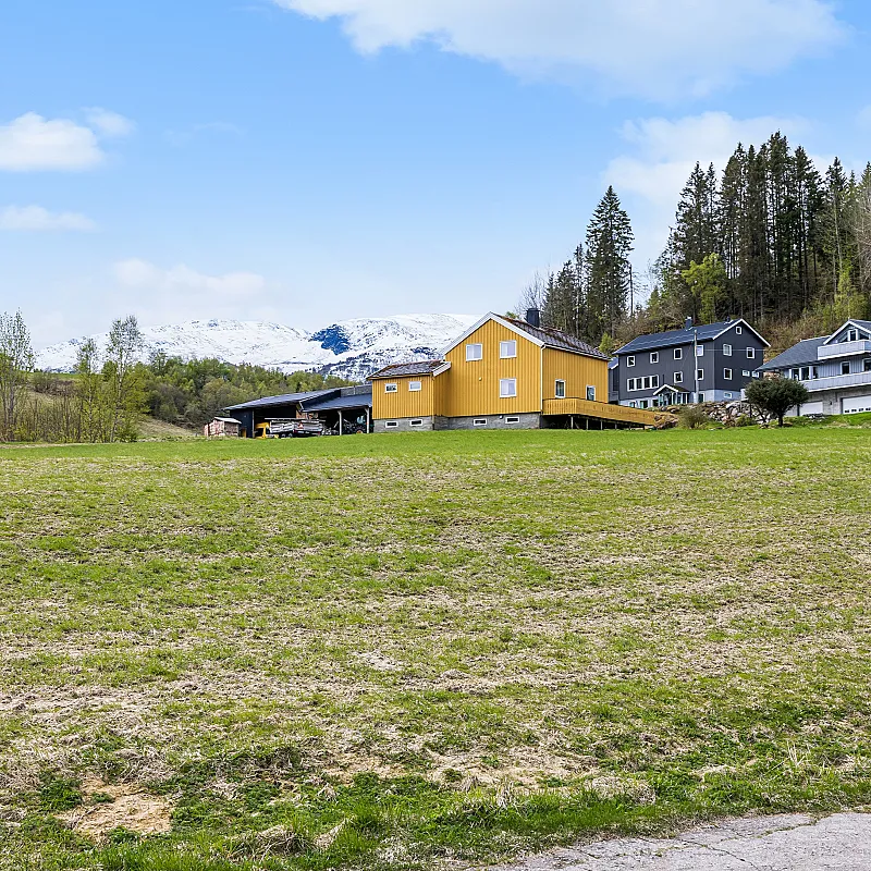 View image 38